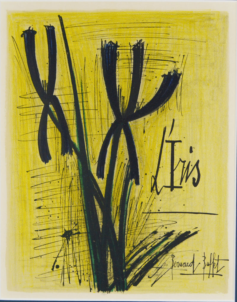 ベルナール ビュッフェ 『アイリス 【植物図集より】 』 絵画 版画 リトグラフ 1966年パリで制作 作家生前作品 新品の額付き 壁面への取付け金具付き