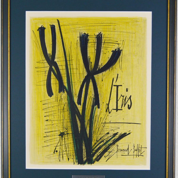 ベルナール ビュッフェ 『アイリス 【植物図集より】 』 絵画 版画 リトグラフ 1966年パリで制作 作家生前作品 新品の額付き  壁面への取付け金具付き